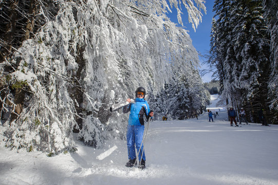 Happy skier at the ski resort on a sunny day standing under the trees covered in snow, snow is falling down on her. Girl is holding skis on her shoulder. Bukovel, Ukraine