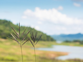 Fototapeta premium Kaeng Krachan National Park 3