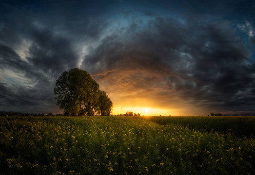 Dramatic Sunset Over Meadow 