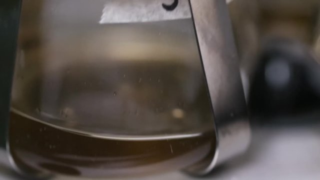 Lab bottles shaking liquid tissue microbial culture at shaker, incubator