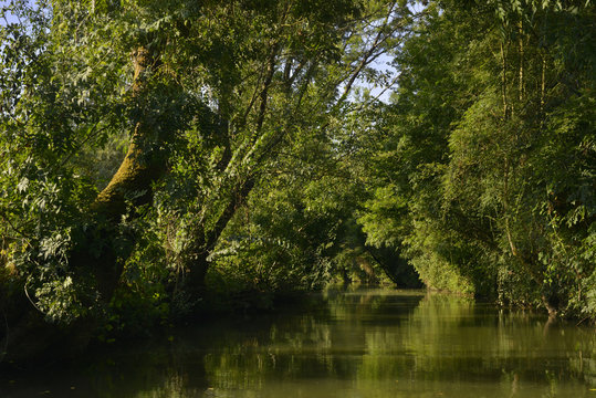 Voile de lumi&egrave;re sur l'eau du Marais Poitevin &agrave; Damvix (85420), d&eacute;partement de la Vend&eacute;e en r&eacute;gion Pays de la Loire, France