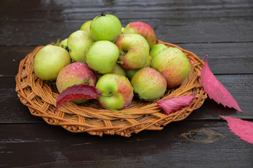 Closeup of red and green apples on wooden plate . Concept for seasonal fruits, autumn harvest, organic farming and agriculture.