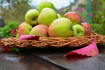 Closeup of red and green apples with wooden plate on countryside background. Concept for seasonal fruits, autumn harvest, organic farming and agriculture.