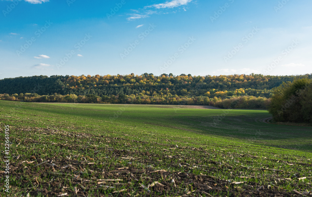 Poster Autumn rural landscape