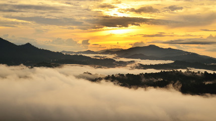 Naklejka premium Sunrise over dipterocarp rain forest in Danum Valley Conservation Area in Lahad Datu, Sabah Borneo, Malaysia.