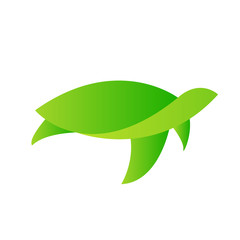 Turtle Vector