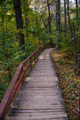 Wooden pathway in Vorobyovy Gory park in the autumn