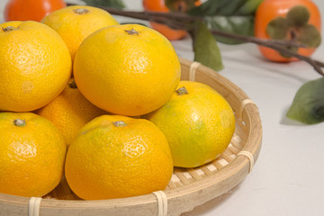 早生みかん 早生ミカン  