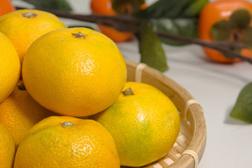 早生みかん 早生ミカン  