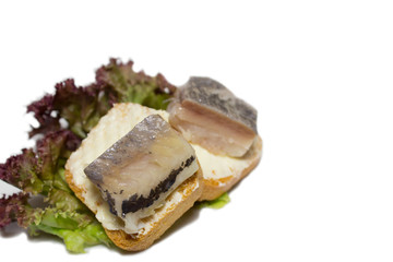fresh sandviches with herring fillets on the lettuce leaves, isolated on white with space for text