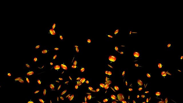 Halloween Pumpkin Confetti. Halloween pumpkin lanterns shaped confetti on alpha channel. 11 seconds animation.