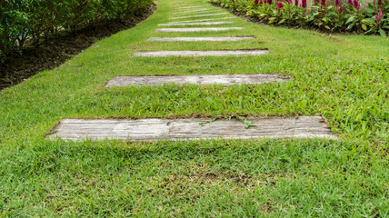 Concrete Pathway in garden