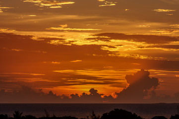 © Thierry Dehove Photography.All rights reserved.This image, or derivative works, can not be used,...