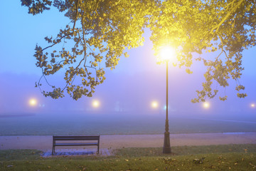 foggy, night images of autumn park, light lamps diffuse through the fog and trees
