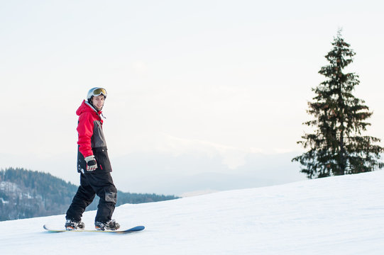 Snowboarder wearing helmet, red jacket, gloves and pants standing on top of a mountain and looking at the camera near a lonely pine on the background of hills and the sky. Carpathian mountains
