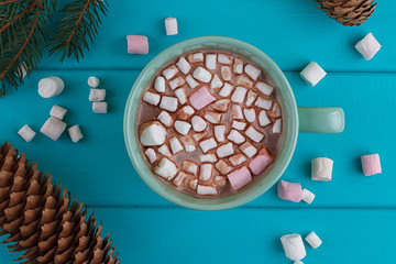 Winter sill life with hot cocoa, marshmallows