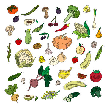 Set colors elements vegetables and fruits. Vegetarian food