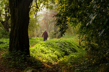 Ścieżką przez las © podlaski49