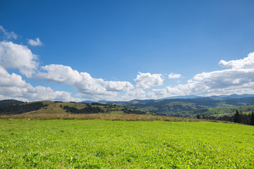 Fototapeta na wymiar Green meadow, mountain and sky with clouds