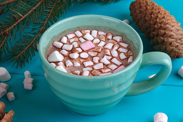 Winter sill life with hot cocoa, marshmallows