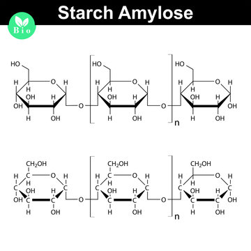 Amylose polymer chemical chain