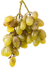 bunch of ripe grapes isolated on white background