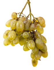 bunch of ripe grapes isolated on white background