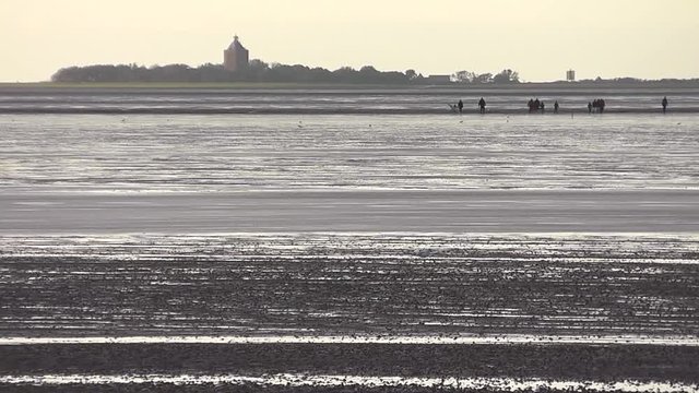 Wattwanderer vor Insel Neuwerk