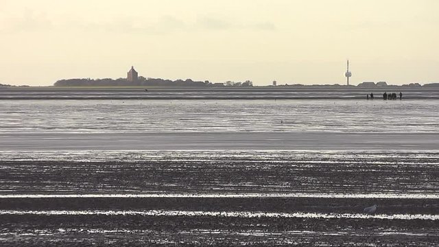 Wattwanderer vor Insel Neuwerk