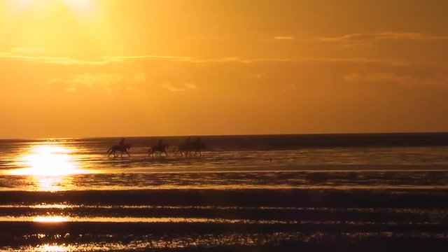  Reiter im Wattenmeer bei Sonnenuntergang 