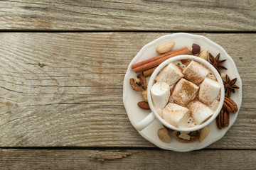 Obraz na płótnie Canvas Hot chocolate with marshmallow and cinnamon