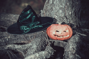 halloween background, scarry jack pumpkin in witch hat.