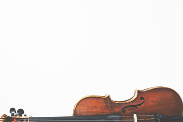 Violin on white background