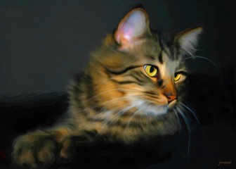 Cat painted in Photoshop