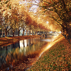 Golden Trees Reflecting in the canal. Autumn photo. View of the historic avenue Koenigsallee (King's Avenue), Dusseldorf, Germany