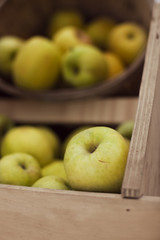 Apple Crate