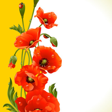 Vector vertical frame with red poppies and ladybugs