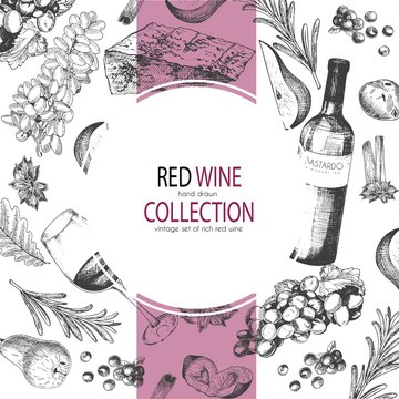 Vector hand drawn round template illustration of wine and appetizers. Bottle, glass, corcksrew, cheese, fruits ans cpices.