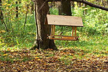 Feeder for birds in the forest.