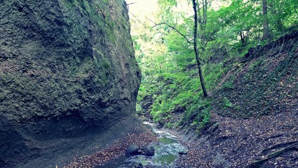 Wolfsschlucht in der Vulkaneifel