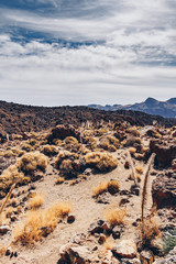 Volcanic landscape with sparse vegetation, Teide National park, Tenerife, Spain