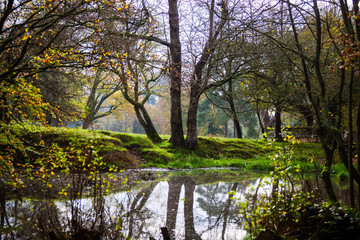 AUTUMN COLOURS IN BRITISH COUNTRYSIDE. 