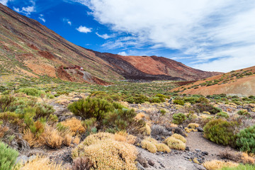 Obraz premium Teide National Park, Tenerife, Spanish Canary Islands showing the weathered red volcanic soil closely resembling that on Mars which has resulted in this becoming a testing ground for Mars projects