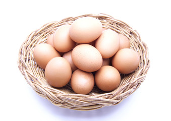 egg