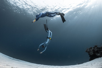 Two freedivers finning over the sandy sea bottom