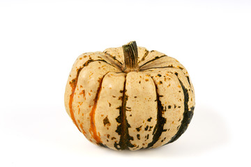 Isolated green and white pumpkin