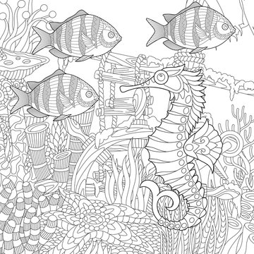 Stylized composition of tropical fish, seahorse, underwater seaweed, corals and starfish. Freehand sketch for adult anti stress coloring book page with doodle and zentangle elements.