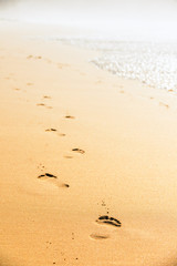Fototapeta na wymiar Footprints in the sand.Praia do Castelejo-fantastic beach on the southwest coast of Portugal. Region Algarve