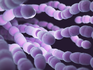 Streptococcus pneumoniae, or pneumococcus, is a gram-positive bacteria responsible for many types...
