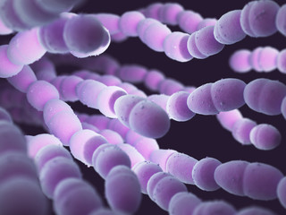 Streptococcus pneumoniae, or pneumococcus, is a gram-positive bacteria responsible for many types of pneumococcal infections.